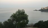 Tocht Stappen Collioure - 66 COLLIOURE, jusqu'à PORT-VENDRES par les collines et la route en Bord de mer  - Photo 18