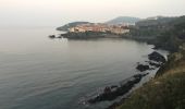 Tour Wandern Collioure - 66 COLLIOURE, jusqu'à PORT-VENDRES par les collines et la route en Bord de mer  - Photo 17