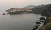 Tour Wandern Collioure - 66 COLLIOURE, jusqu'à PORT-VENDRES par les collines et la route en Bord de mer  - Photo 16