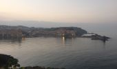 Trail Walking Collioure - 66 COLLIOURE, jusqu'à PORT-VENDRES par les collines et la route en Bord de mer  - Photo 15