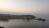 Tocht Stappen Collioure - 66 COLLIOURE, jusqu'à PORT-VENDRES par les collines et la route en Bord de mer  - Photo 14