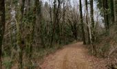 Trail Walking Sainte-Colombe-sur-Gand - viaduc du marteau - Photo 10