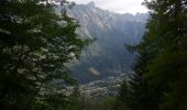 Excursión Senderismo Chamonix-Mont-Blanc - la jonction  - Photo 17