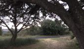 Excursión Senderismo Aigne - High Aigne and St Abdon's Oak - Photo 6