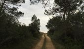 Trail Walking Aigne - High Aigne and St Abdon's Oak - Photo 4