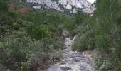 Trail Walking Roquevaire - le mont du marseillais par le grand Vallon - Photo 7