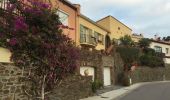 Tour Wandern Collioure - 66 PORT-VENDRES, Sentier littoral, ports, quais, rampes, ruelles et Sentier - COLLIOURE et Corniche  - Photo 15