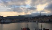 Tour Wandern Collioure - 66 PORT-VENDRES, Sentier littoral, ports, quais, rampes, ruelles et Sentier - COLLIOURE et Corniche  - Photo 13