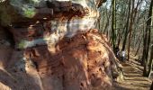 Trail Walking Roppeviller - Le rocher de l'Altschlossfelsen - Photo 20