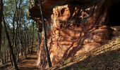 Trail Walking Roppeviller - Le rocher de l'Altschlossfelsen - Photo 18