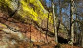 Trail Walking Roppeviller - Le rocher de l'Altschlossfelsen - Photo 17