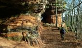Trail Walking Roppeviller - Le rocher de l'Altschlossfelsen - Photo 13