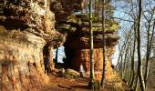Excursión Senderismo Roppeviller - Le rocher de l'Altschlossfelsen - Photo 12