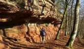 Trail Walking Roppeviller - Le rocher de l'Altschlossfelsen - Photo 11