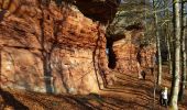 Excursión Senderismo Roppeviller - Le rocher de l'Altschlossfelsen - Photo 8