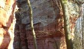Trail Walking Roppeviller - Le rocher de l'Altschlossfelsen - Photo 7