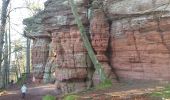 Excursión Senderismo Roppeviller - Le rocher de l'Altschlossfelsen - Photo 6