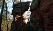 Randonnée Marche Roppeviller - Le rocher de l'Altschlossfelsen - Photo 4