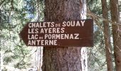 Tour Wandern Servoz - CHAMONIX (Le Mont) - Photo 8