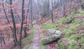 Tour Wandern Bärental - Baerenthal - Ruines du Ramstein - Photo 7