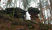 Tour Wandern Bärental - Baerenthal - Ruines du Ramstein - Photo 5