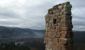 Trail Walking Baerenthal - Baerenthal - Ruines du Ramstein - Photo 3