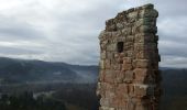 Tour Wandern Bärental - Baerenthal - Ruines du Ramstein - Photo 3