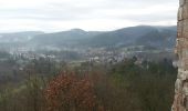 Tour Wandern Bärental - Baerenthal - Ruines du Ramstein - Photo 2