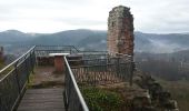 Trail Walking Baerenthal - Baerenthal - Ruines du Ramstein - Photo 1