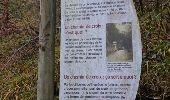 Trail Walking Mende - Chemin de croix - Photo 6