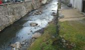 Trail Walking Augirein - augirein  st.lary - Photo 1