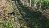 Randonnée Autre activité Villaines-la-Juhel - gîte des perles - Photo 2