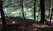 Trail Walking Herbeumont - Les Burzais - départ du gite Le bout des bois - Photo 7