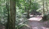 Trail Walking Herbeumont - Les Burzais - départ du gite Le bout des bois - Photo 3