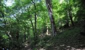 Randonnée Marche Herbeumont - Herbeumont. Natura 2000, des sites qui valent le détour ! Lx 3 - Photo 2