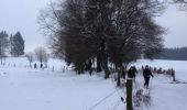 Tocht Noords wandelen Vaux-sur-Sûre - Morhet - Photo 2