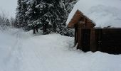 Tour Skiwanderen Thônes - beauregard-thônes - Photo 19