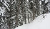 Trail Touring skiing Thônes - beauregard-thônes - Photo 18