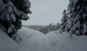 Trail Touring skiing Thônes - beauregard-thônes - Photo 17