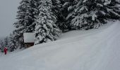Tour Skiwanderen Thônes - beauregard-thônes - Photo 12