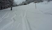 Trail Touring skiing Thônes - beauregard-thônes - Photo 3