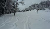 Tour Skiwanderen Thônes - beauregard-thônes - Photo 20
