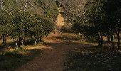 Excursión Marcha nórdica Le Cannet-des-Maures - le cannet des maures-les ribas-Entrayges - Photo 2