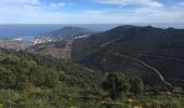 Trail Walking Collioure - 66 COLLIOURE, promenade par le Vignoble et Sentier panoramique sur la côte de Banyuls à ARGELES et au-delà  - Photo 20