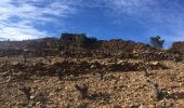 Trail Walking Collioure - 66 COLLIOURE, promenade par le Vignoble et Sentier panoramique sur la côte de Banyuls à ARGELES et au-delà  - Photo 19