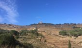 Trail Walking Collioure - 66 COLLIOURE, promenade par le Vignoble et Sentier panoramique sur la côte de Banyuls à ARGELES et au-delà  - Photo 15