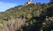 Trail Walking Collioure - 66 COLLIOURE, promenade par le Vignoble et Sentier panoramique sur la côte de Banyuls à ARGELES et au-delà  - Photo 10