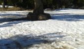 Randonnée Raquettes à neige Railleu - Coll de creu Coll de Sansa  pla de grill - Photo 1