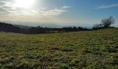Trail Walking Saint-Rémy-sur-Durolle - 2016-1-26- Chabrol  - Photo 1