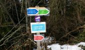 Trail Walking Les Adrets - les 7 laux prapoutel  - Photo 1